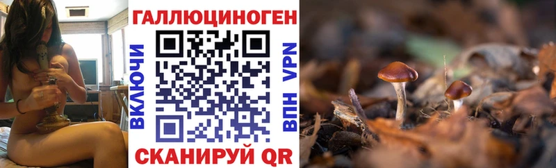 Купить закладки  Ахтырский  Галлюциногенные грибы мицелий 